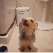 harunaの画像