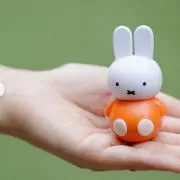 ゆの画像