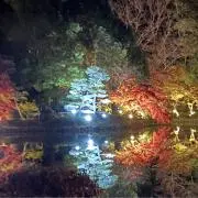 ミルクティーの画像