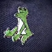 froggieの画像