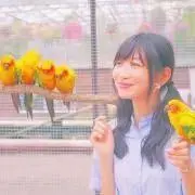 みい
