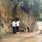 滉の画像