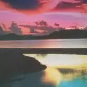 さくらんぼの画像