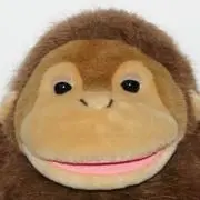 いっぱちの画像
