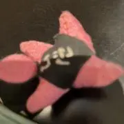 ももの画像