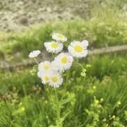 おんの画像