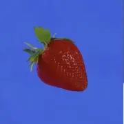 S_sの画像