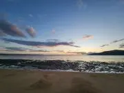 りーの画像