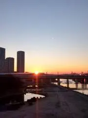 Mitsukoの画像