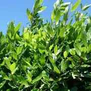 ふーみ(^.^)の画像