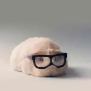 Haruの画像