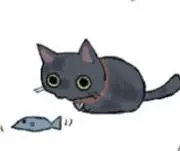 しばの画像