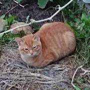 ぺぺぺぺぺ
