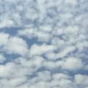 キイ※8月末処分予定の画像