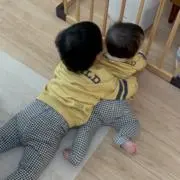 こめの画像