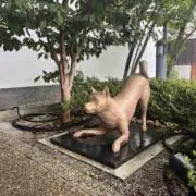 ヤムチャの画像