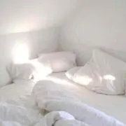 すの画像