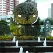 旋風