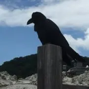 宇曽利くろう
