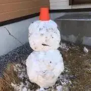 nayutonaの画像