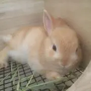 ＊ルナ＊