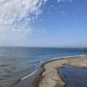 なえ