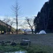 ゆーらすの画像