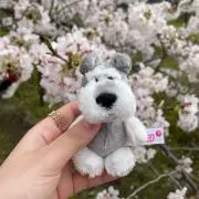 さっくぅ