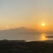 雅