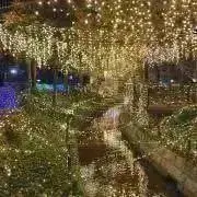 引越中！ご購入前に問合せお願い致しますの画像