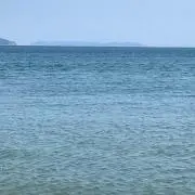 ひろちゃん