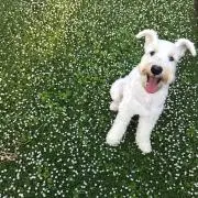 ☆トラ☆