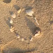 もにょの画像