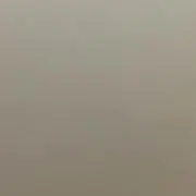 タコスの画像