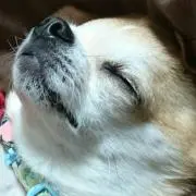 メルパルクの画像