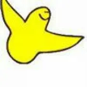 シュリンプの画像
