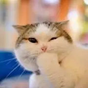 ちとせの画像