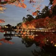 しろくま※プロフ必読の画像