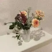 花の画像