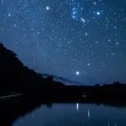 蓮蓮