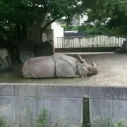 でこぽん大好き