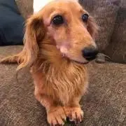 ちいた　プロフィール必読の画像