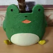 akki99の画像