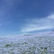 tmap プロフ確認してくださいの画像