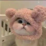 ♡の画像