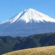 to4