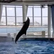こま 【※プロフ必読】の画像