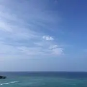 f-rの画像