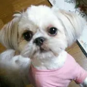 かずぴょん