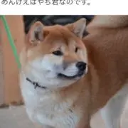JAM♡